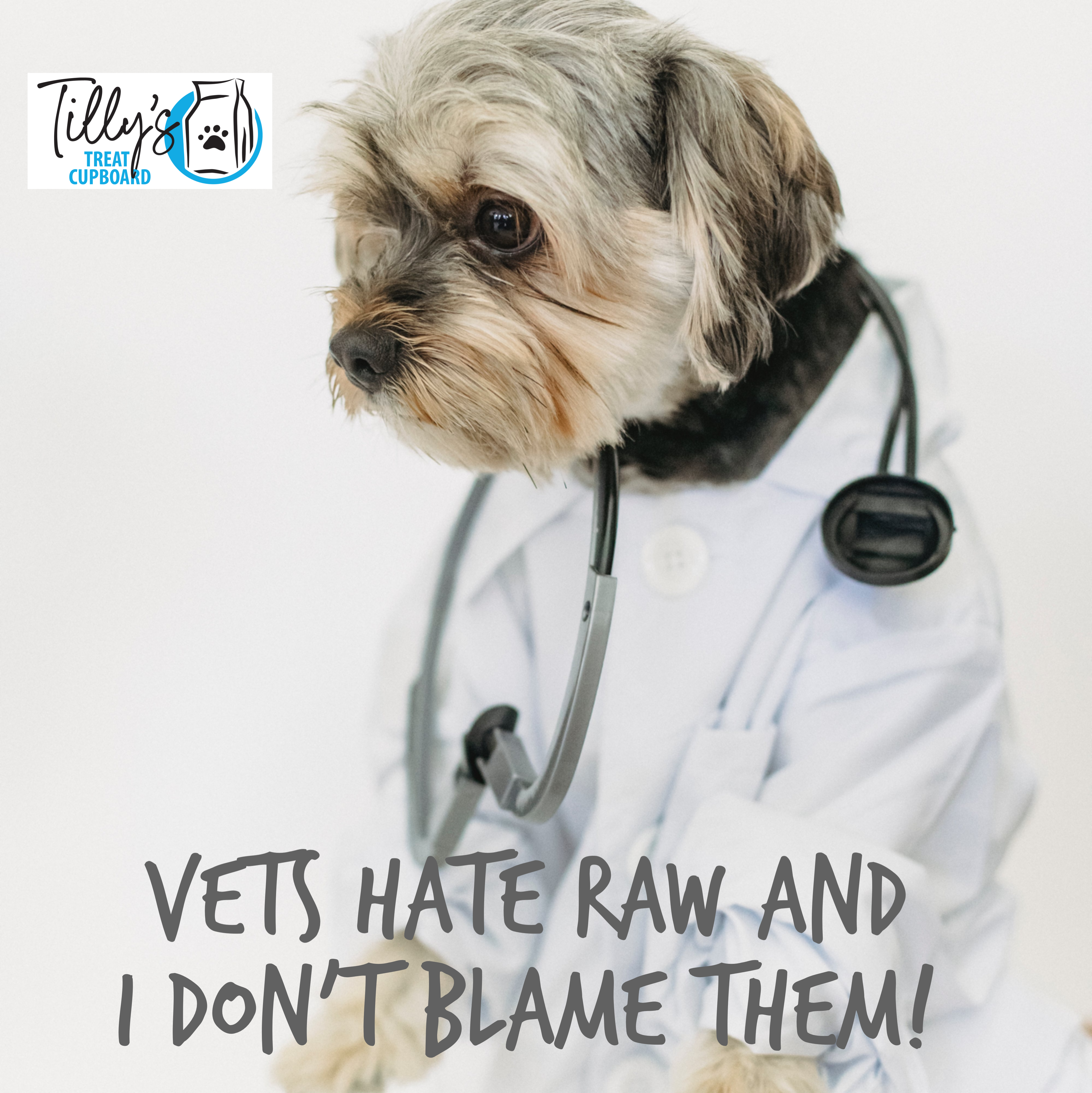 Vets Hate Raw And I Don't Blame Them!