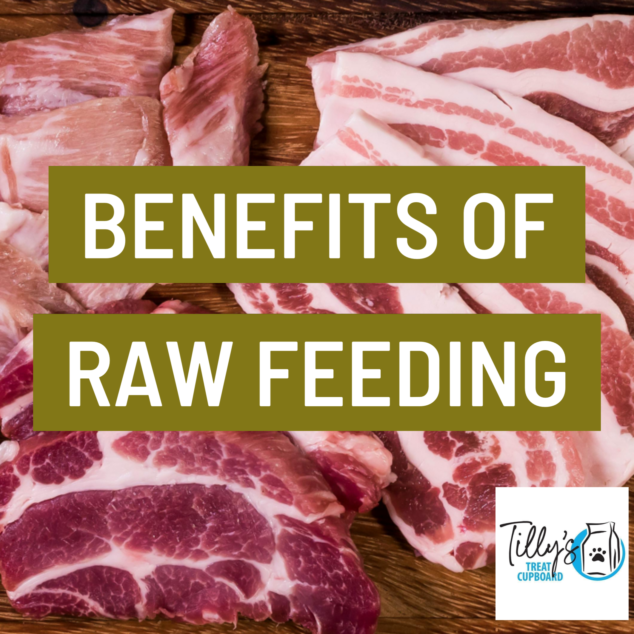 Raw Feeding Week Day 1: What are the benefits of a raw diet?