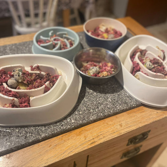 raw feeding dog bowls for the week