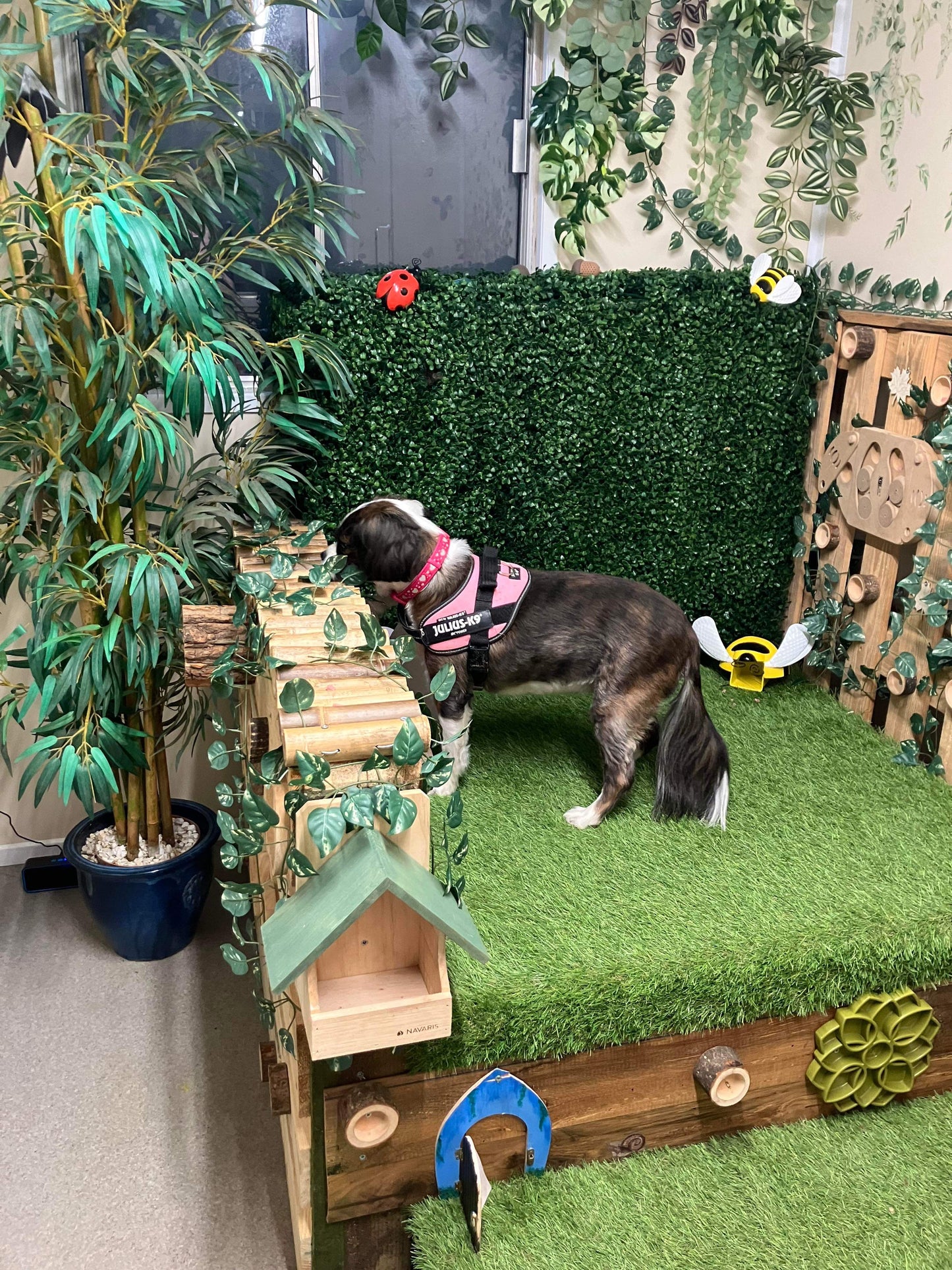 Woodland Enrichment Room