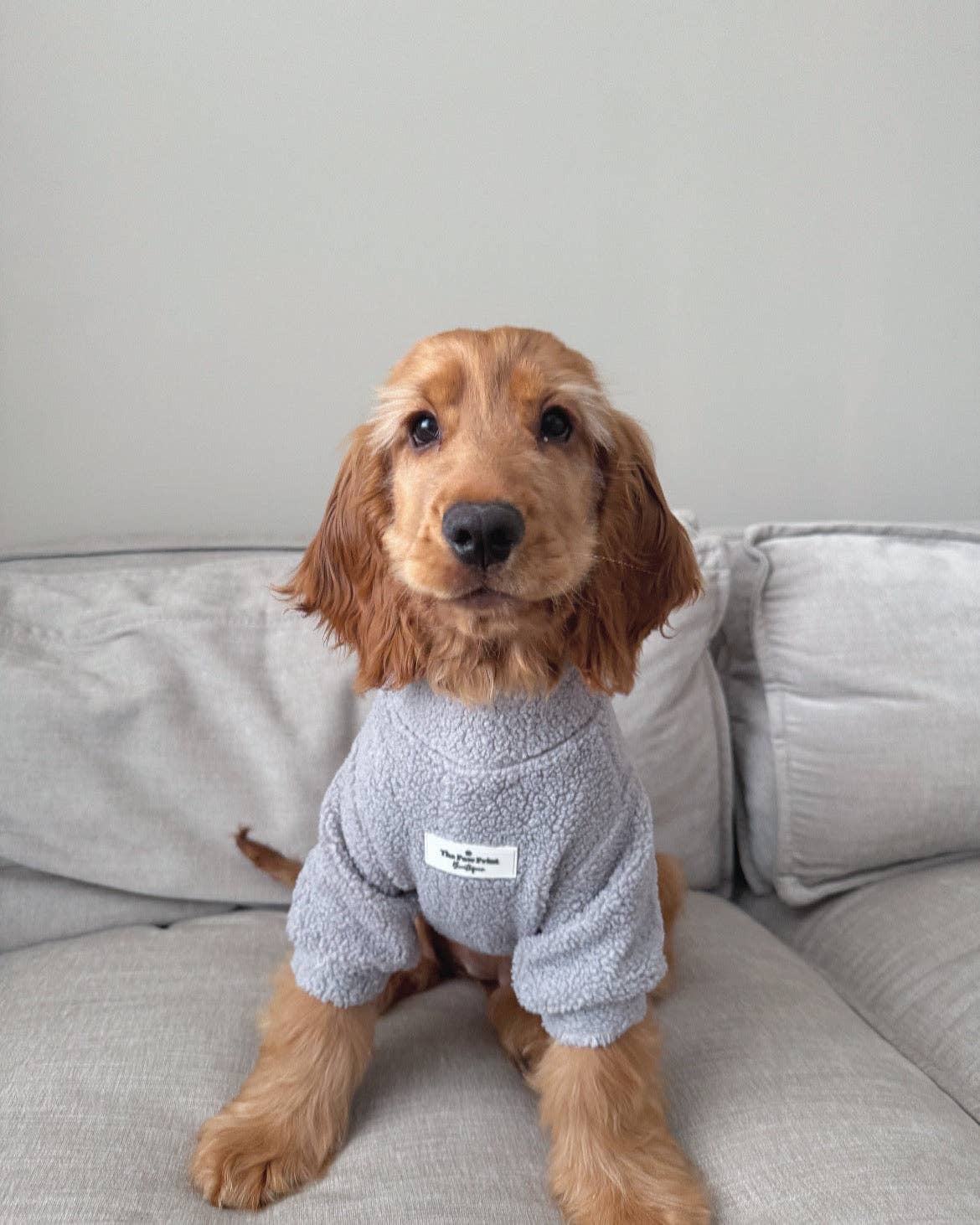 The Grey Teddy Fleece