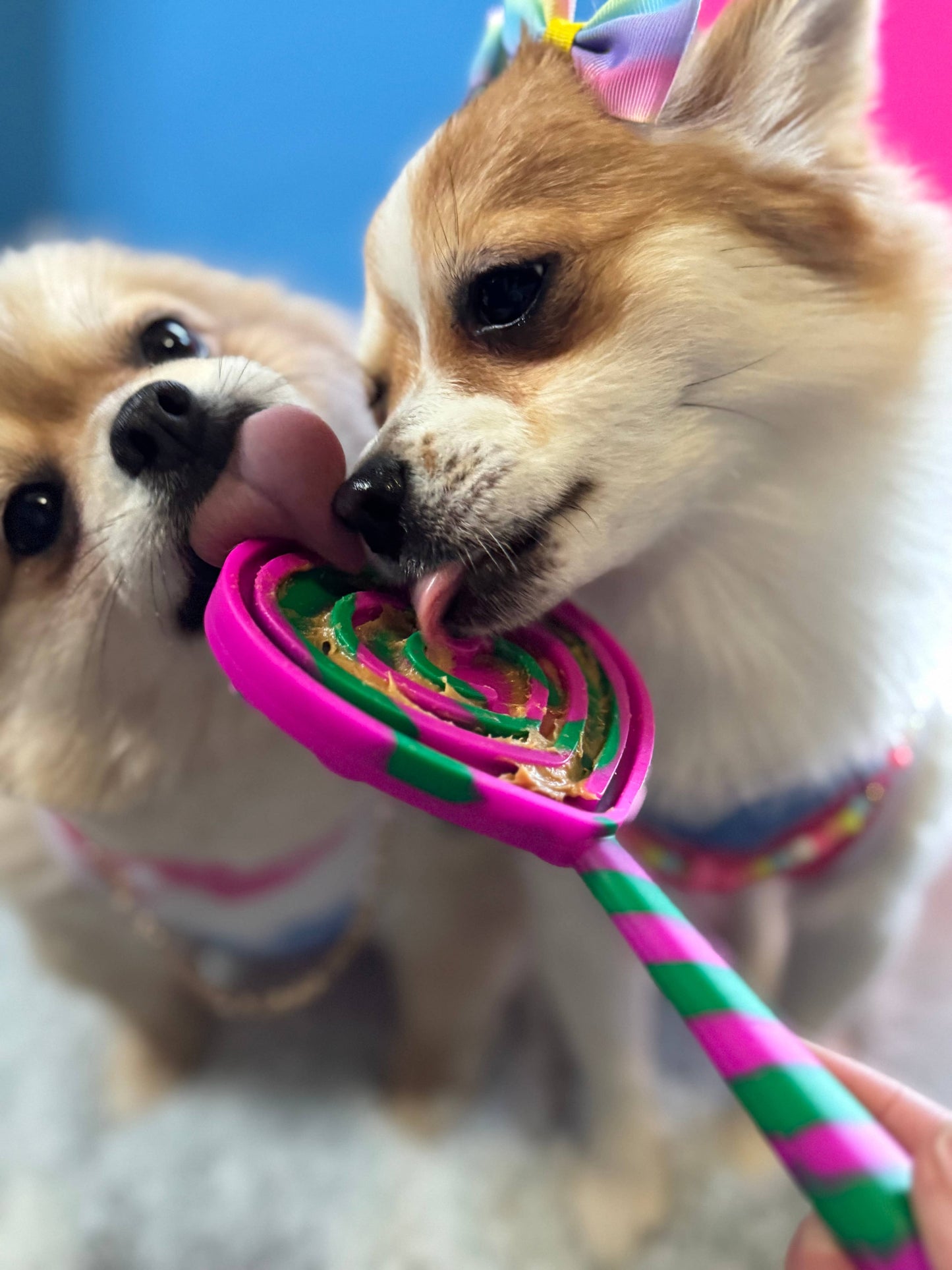 Spunky Pup Lick Pops - Pink Tree