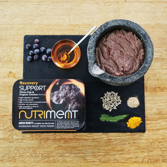 Nutriment Recovery Support 500g