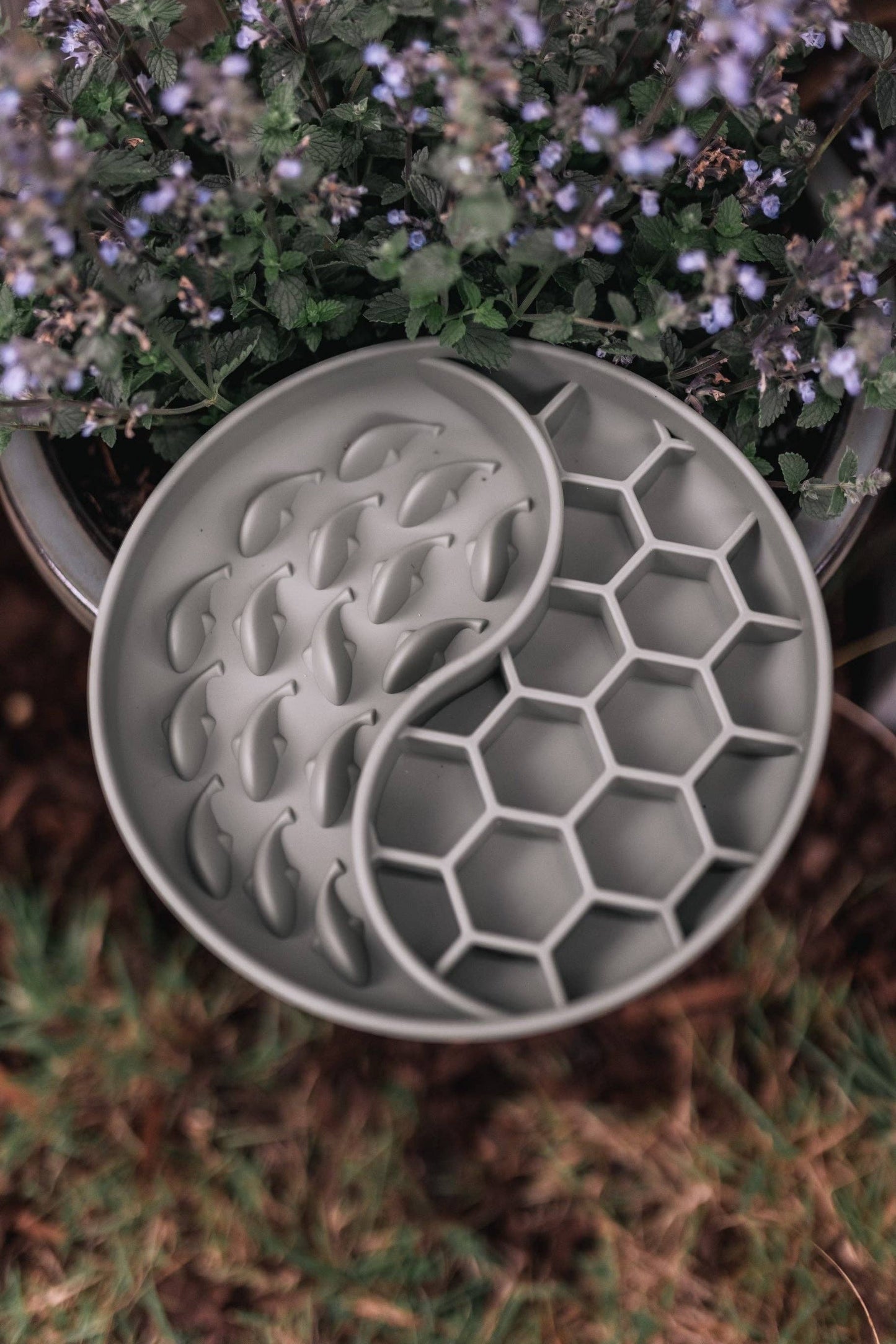 Bodhi & The Birchtree Honeycomb Slow Feeder Bowl In Olive
