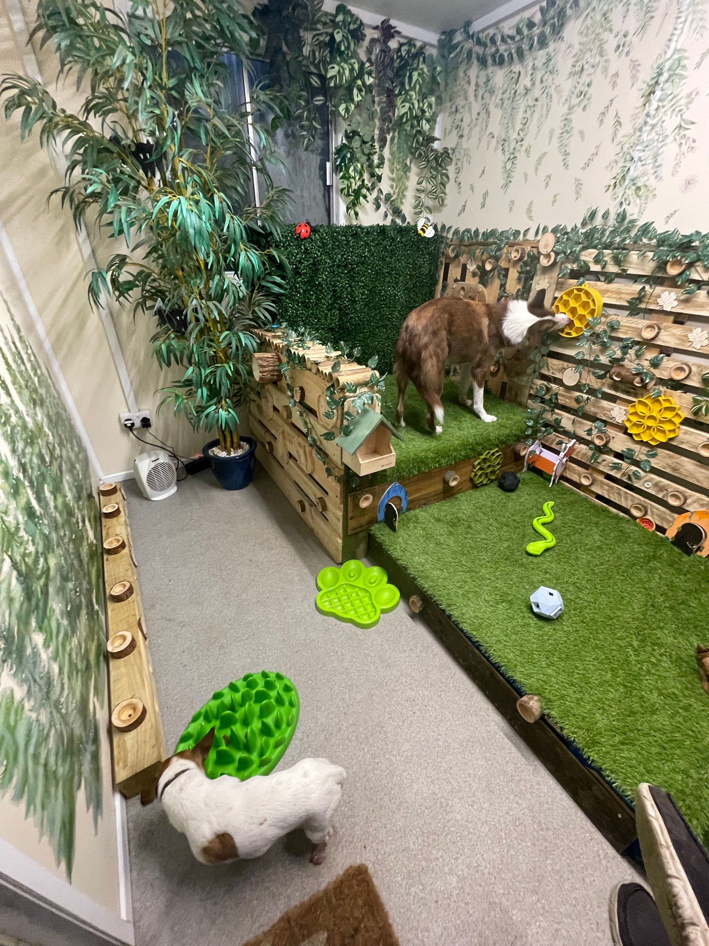 Woodland Enrichment Room