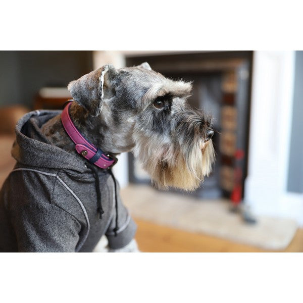Sotnos Brights Aquatech Collar Raspberry