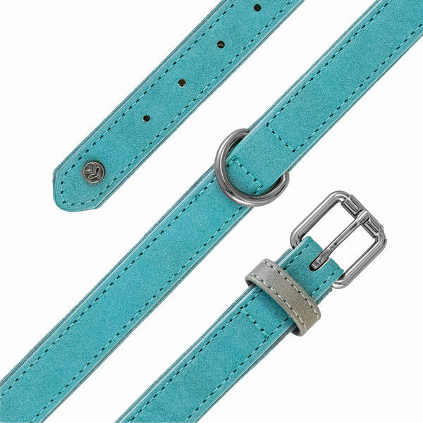 Sotnos Brights Aquatech Collar Teal