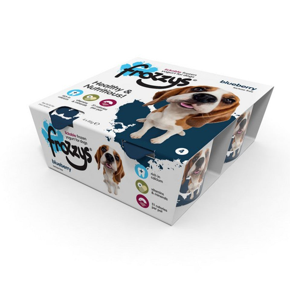 Tillys frozzys ice cream four pack