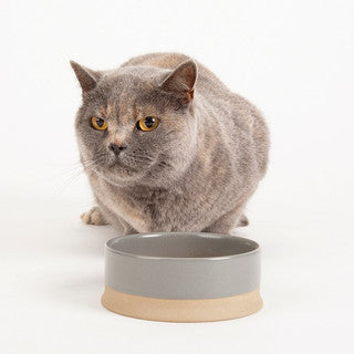 Scruffs Scandi Non Tip Ceramic Bowl Grey