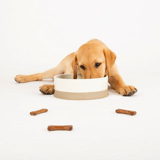 Scruffs Scandi Non Tip Ceramic Bowl Cream