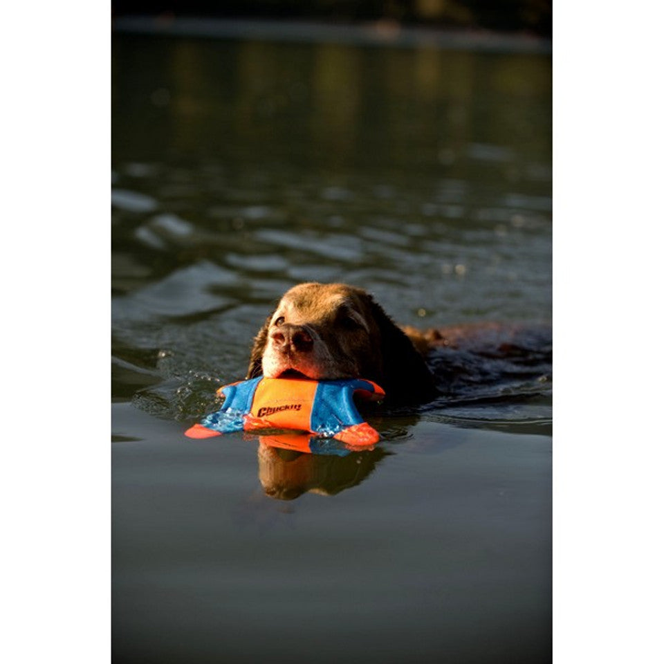 Chuckit! Flying Squirrel Medium