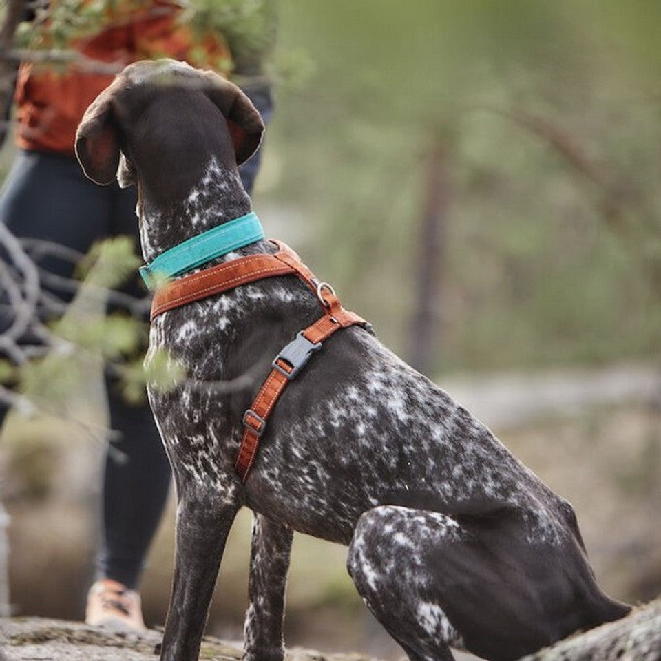 Hurtta Casual Y-Harness ECO Cinnamon