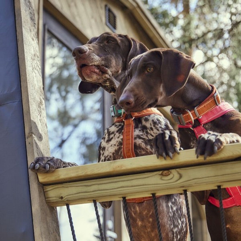 Hurtta Casual Collar ECO Cinnamon