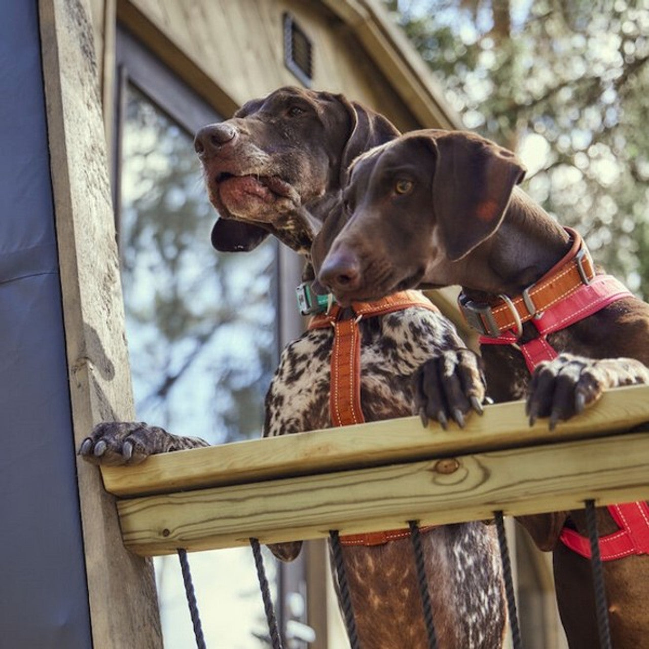 Hurtta Casual Collar ECO Ruby