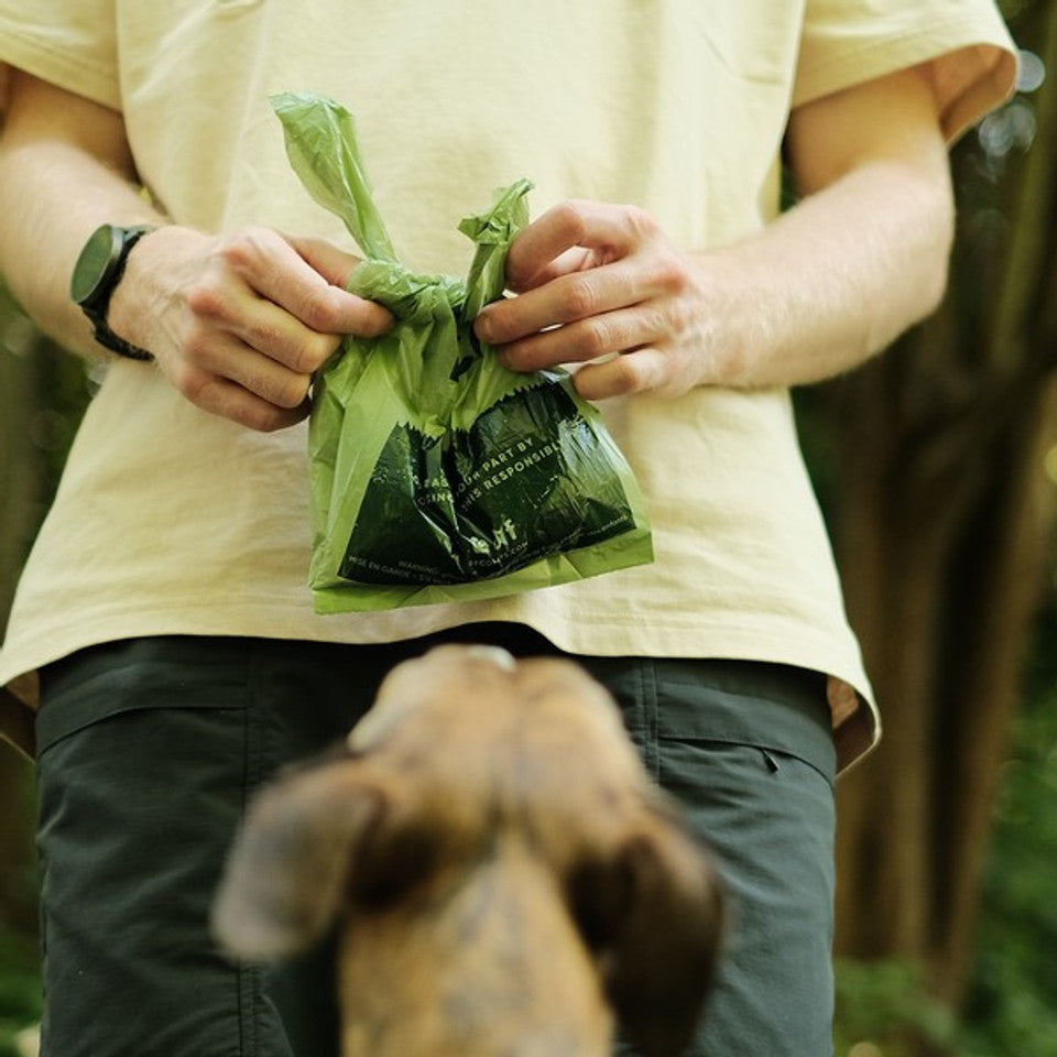 Beco Recycled Poop Bags with Handles | Mint Scented