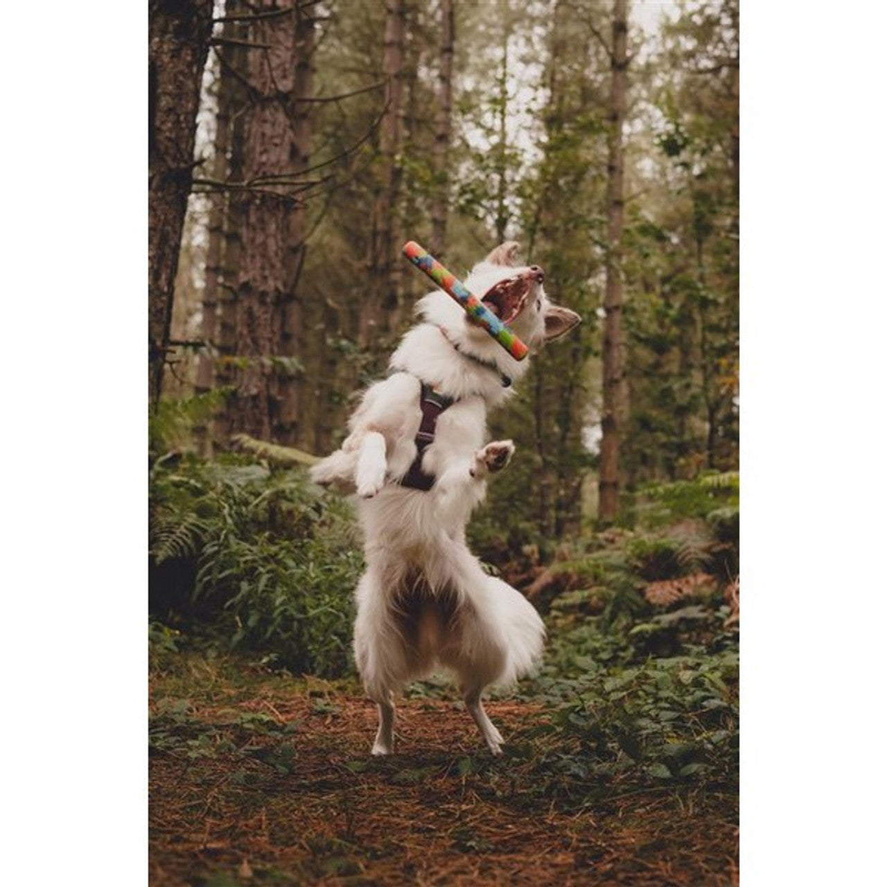 Chuckit! NFD ECO Fetch Day Ultra Stick