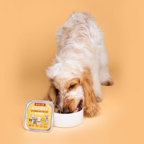 Scrumbles Grain Free Wet Dog Food Chicken 150g