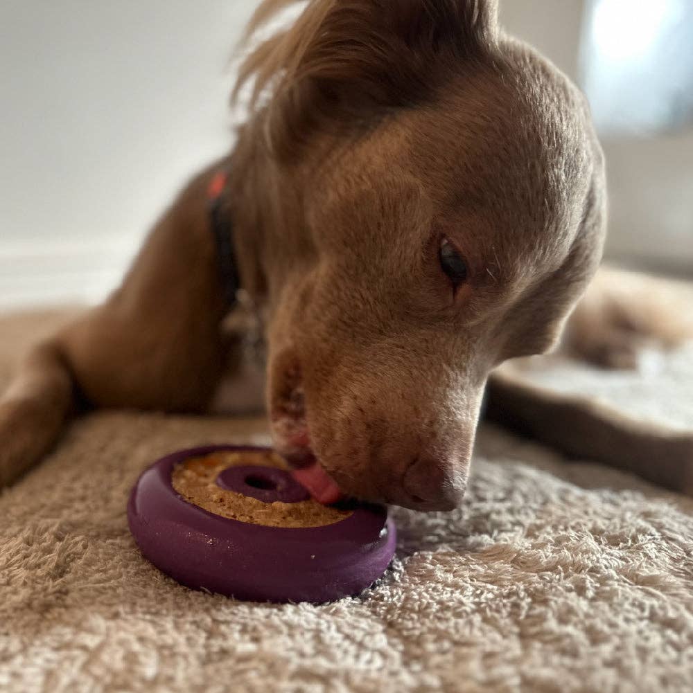 Freezbone Freez Doughnut
