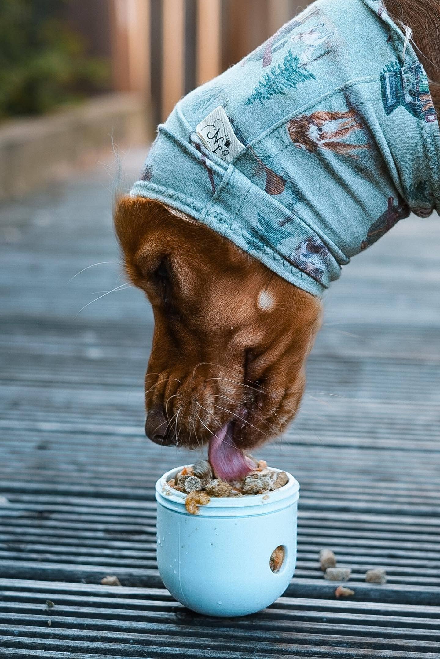Food Dispenser & Slow Feeder Ice & Spruce Green