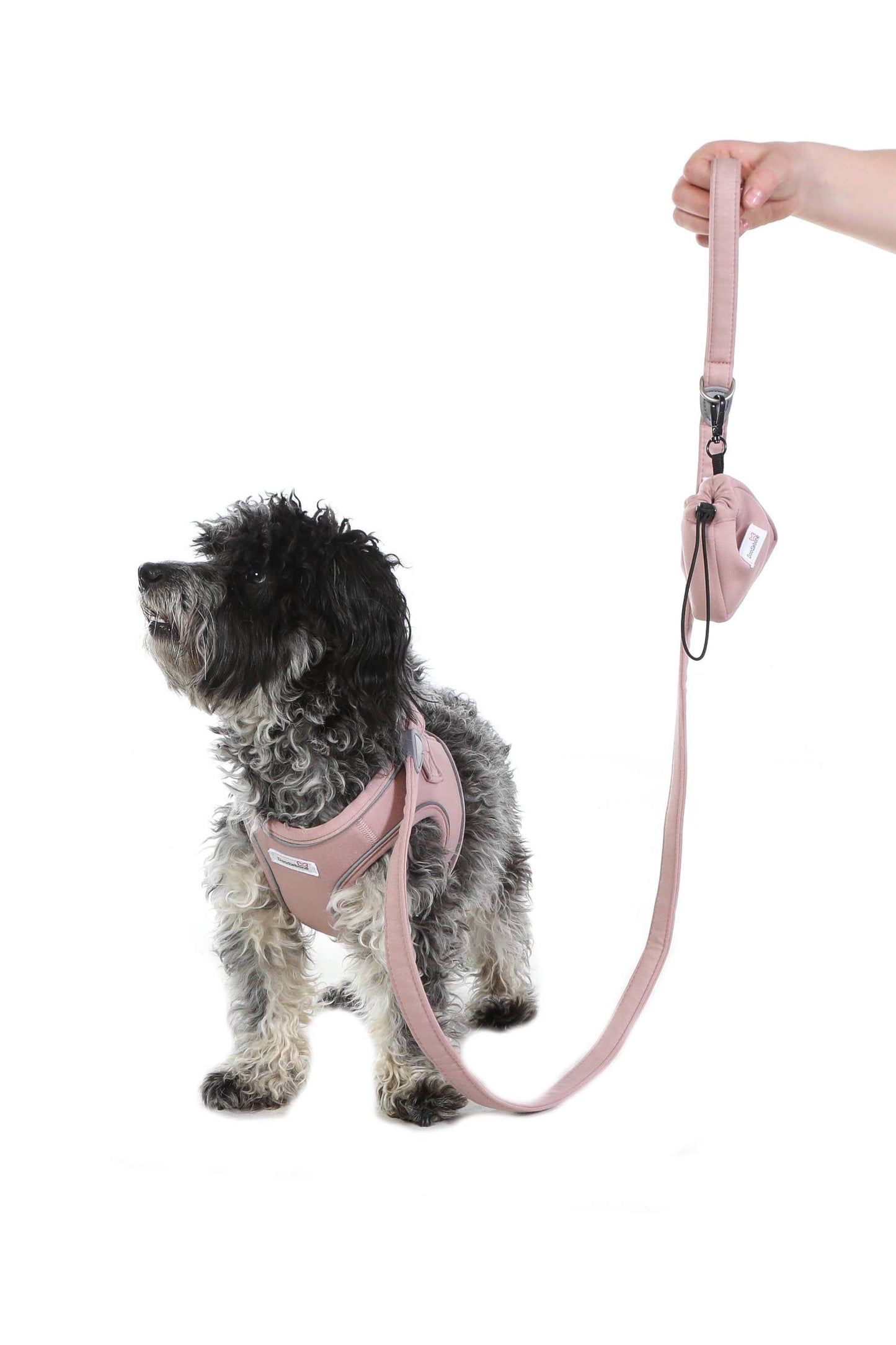 Doodlebone Dinky Dog Lead: Chalky Blue / 20mm