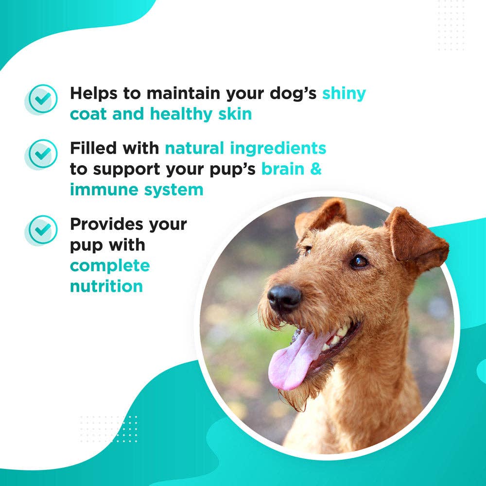 Dog’s Lounge Omega – Omega 3, 6, 9 Fish Oil Complex for Dogs and Puppies