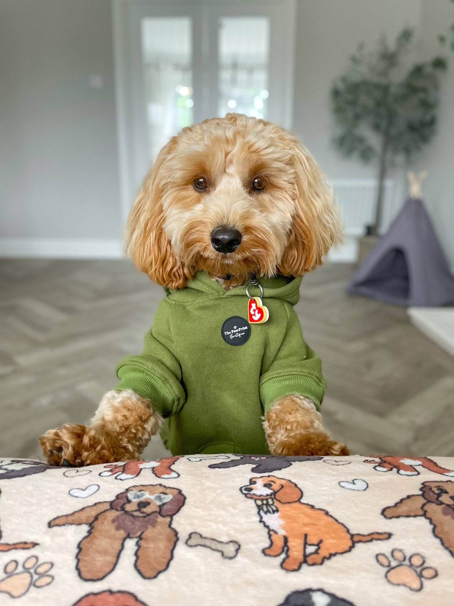 Dog Hoodie - Olive