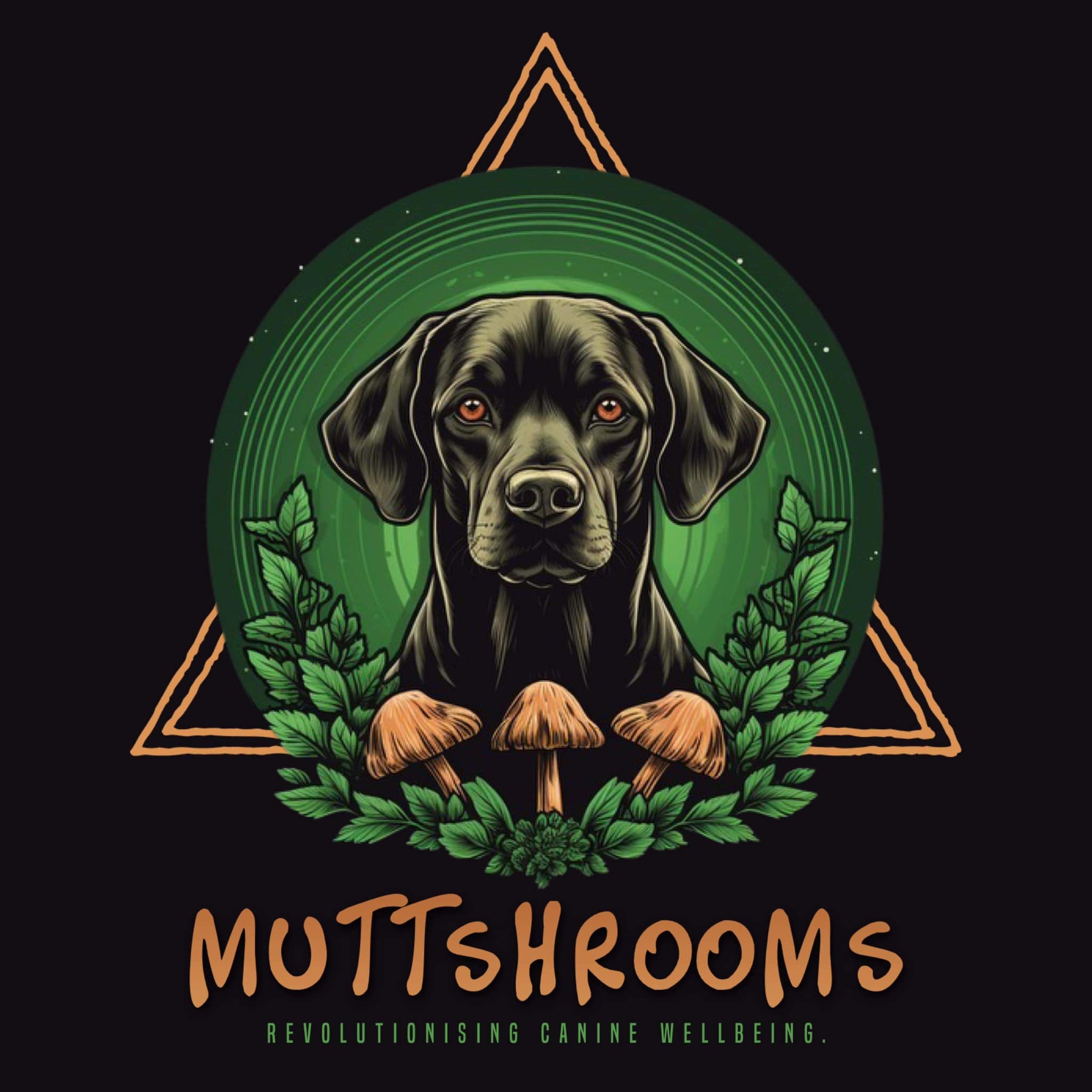 Muttsrooms Medicinal Mushrooms Anxiety Blend
