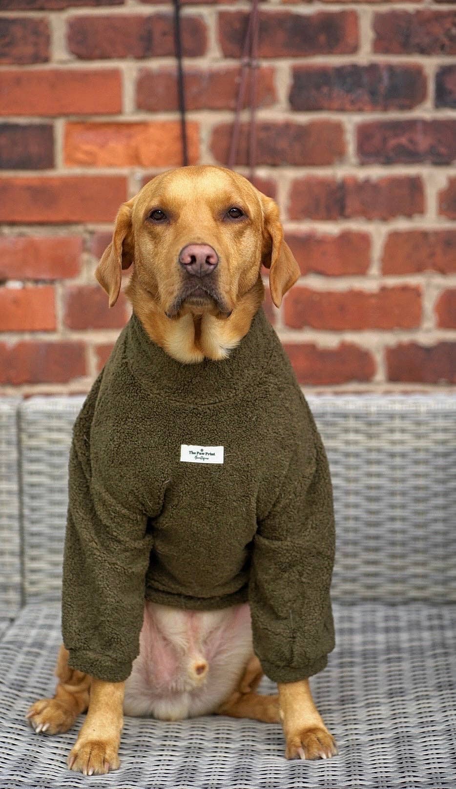 The Khaki Teddy Fleece