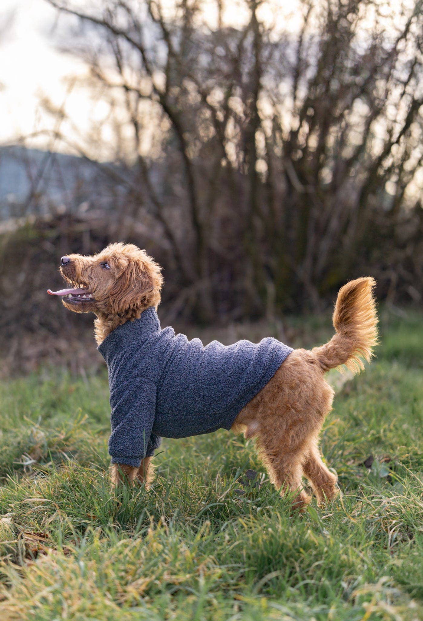 The Charcoal Grey Teddy Fleece