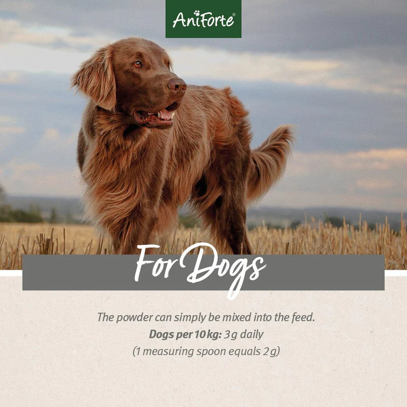 Aniforte 4in1 Complete for Dogs 250g - Advanced Health Supplement