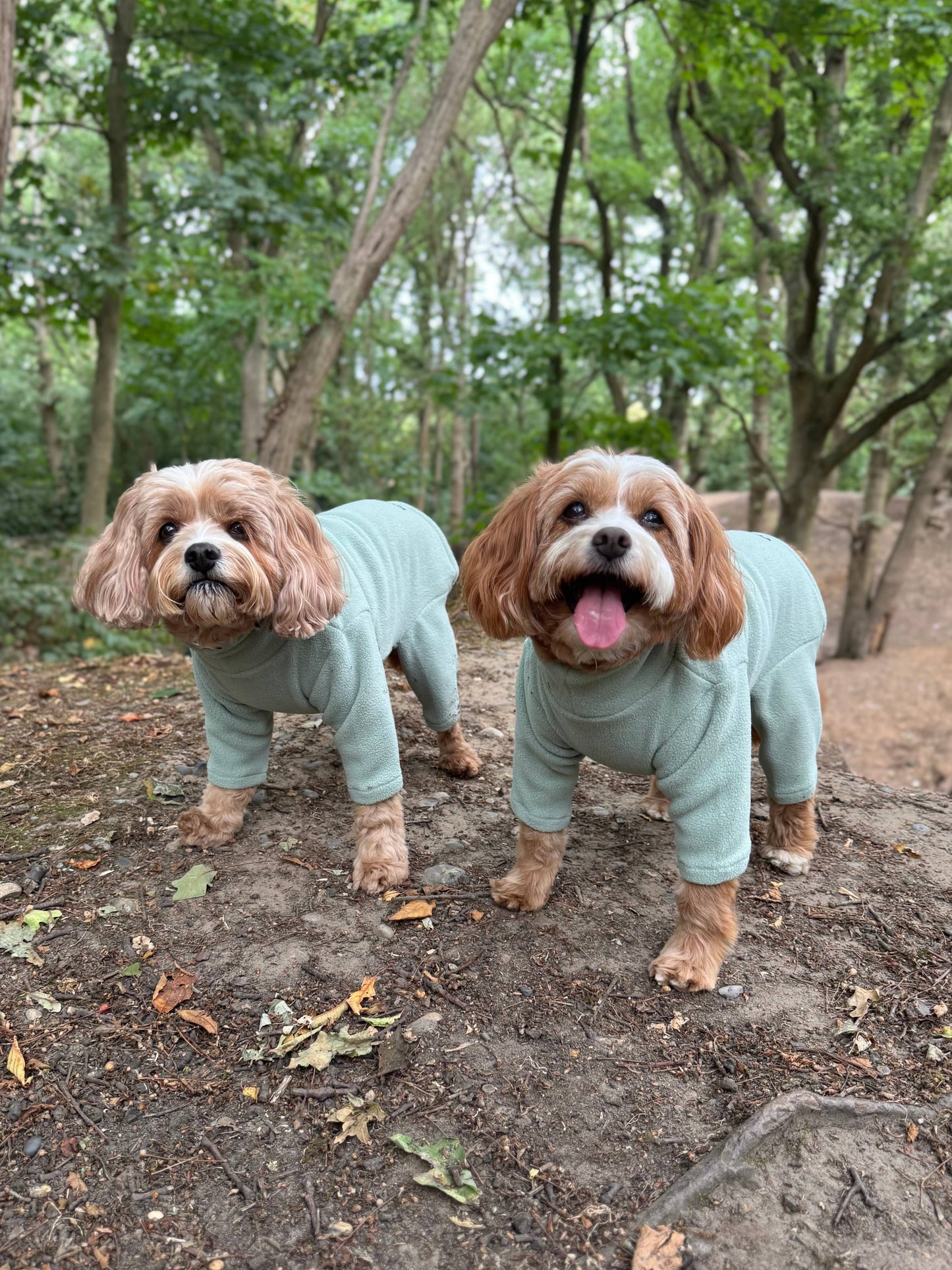 Pet Wiz Four Legged Dog Fleeces -Orange