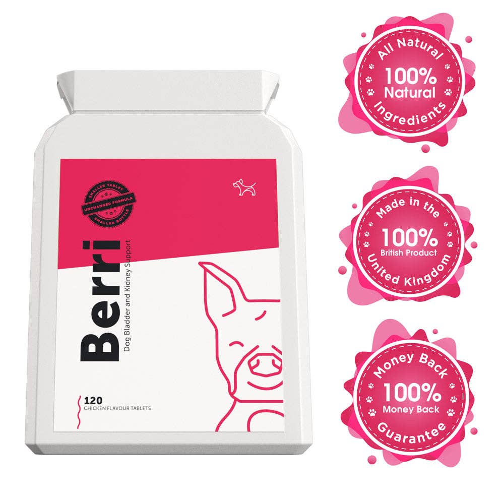 BERRI – Bladder & Kidney Cranberry Support for Dogs