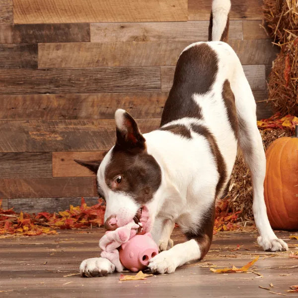 Bark Hambone Dog Toy