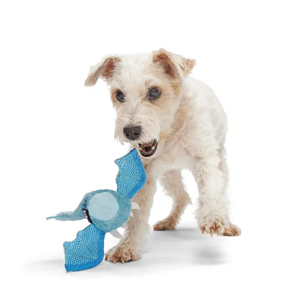 Bark Brrrtha The Dragon Dog Toy