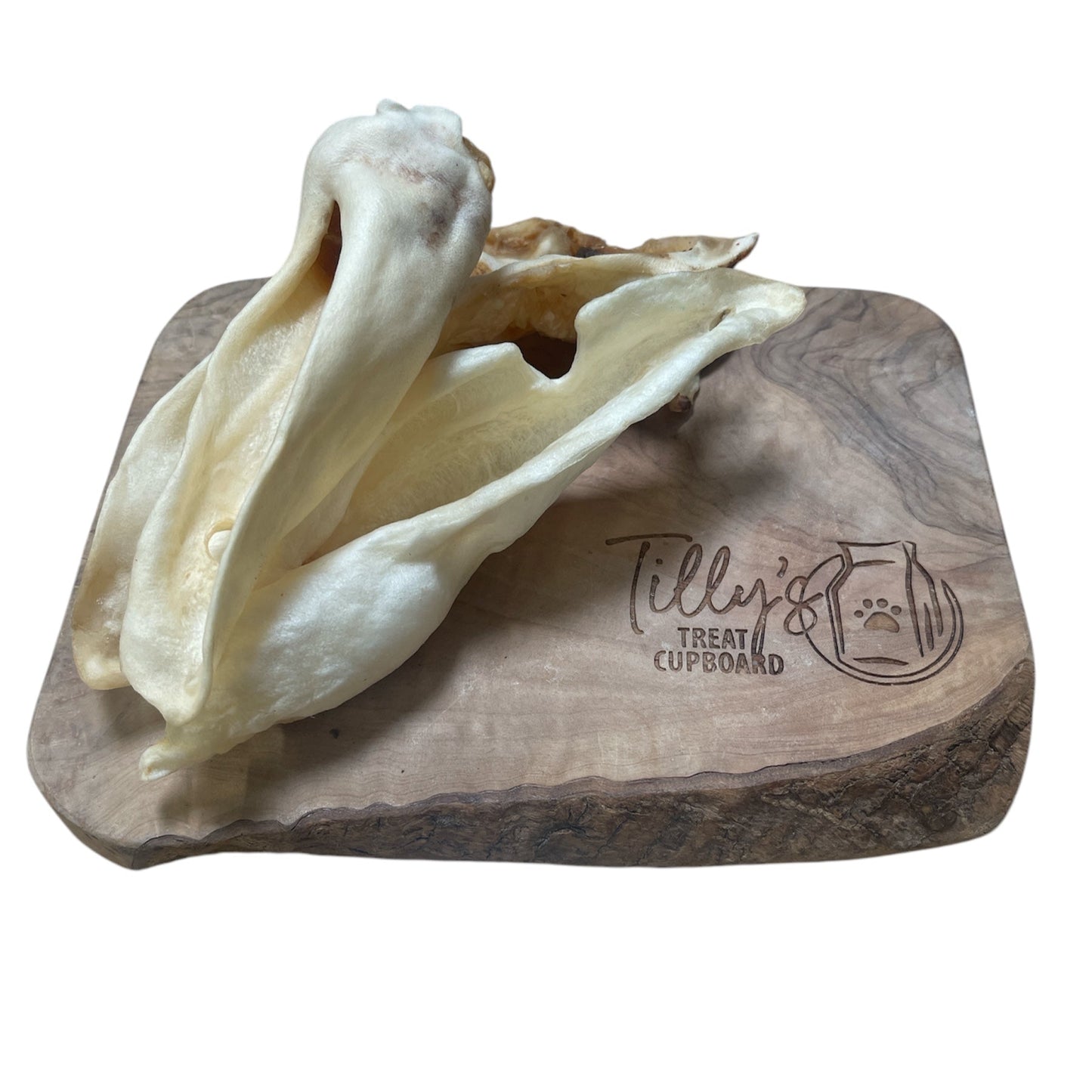 tillys hairless goat ear