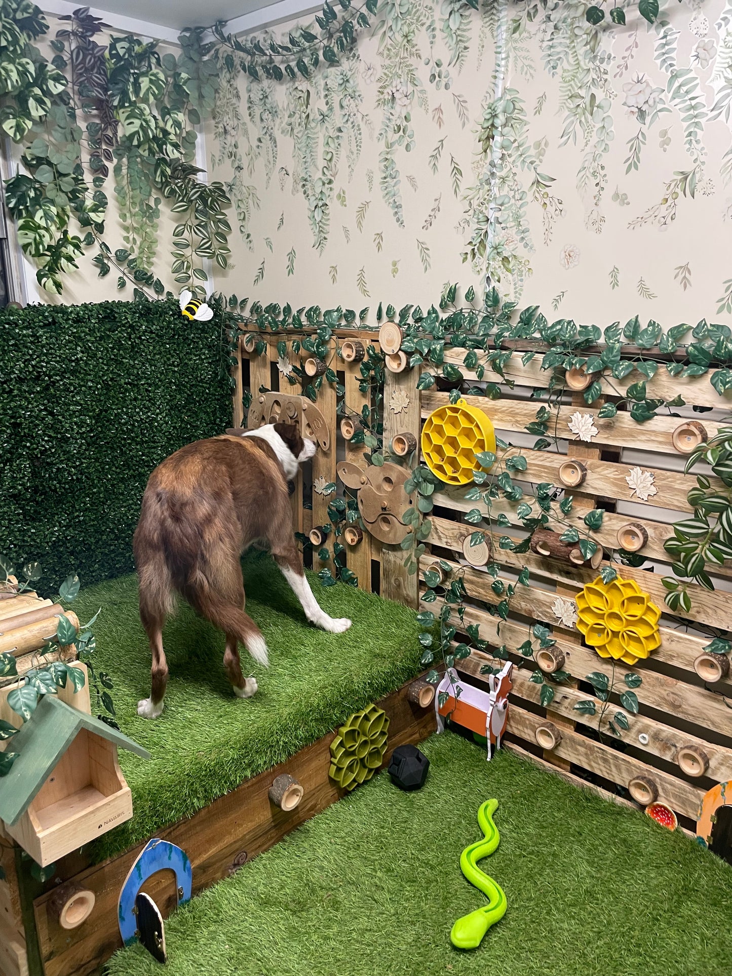Woodland Enrichment Room