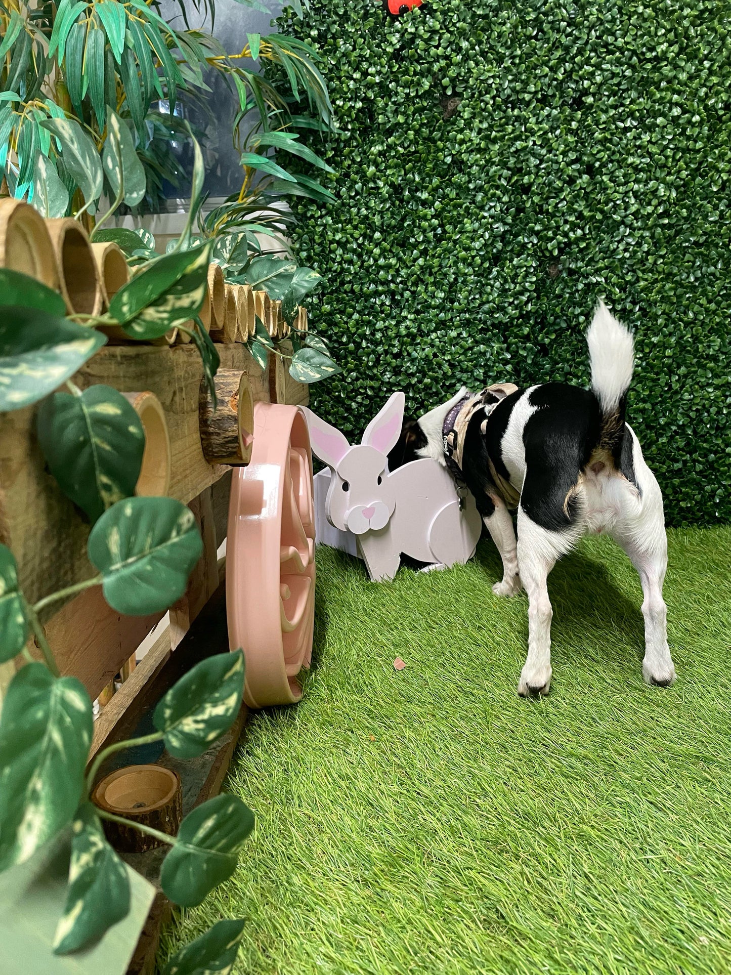 Woodland Enrichment Room