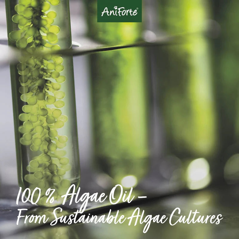 Aniforte Algae Oil 50ml