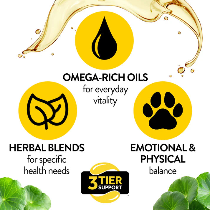 Proflax Tummy Tastic - Pre & Probiotics for Dogs