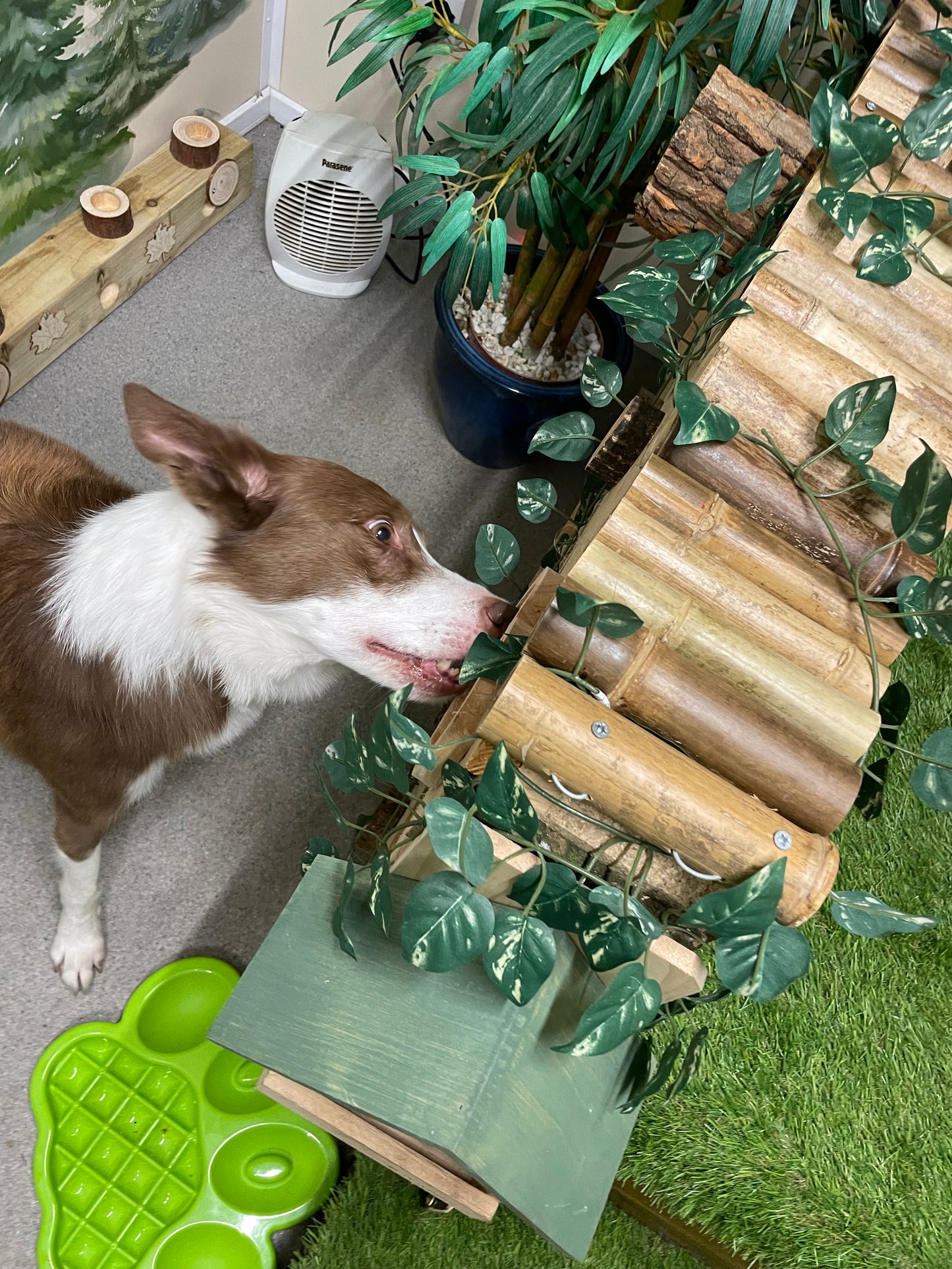 Woodland Enrichment Room