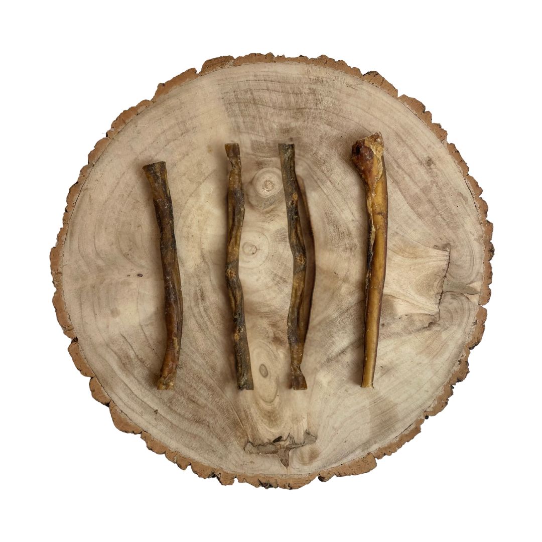 Buffalo Pizzle (approx 24cm)