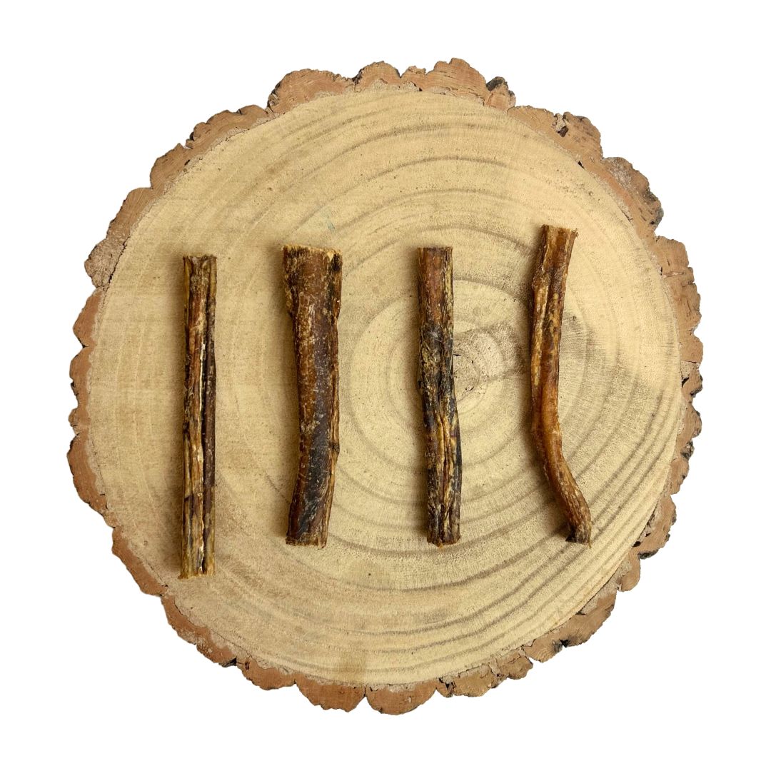 Buffalo Pizzle (approx 12cm)