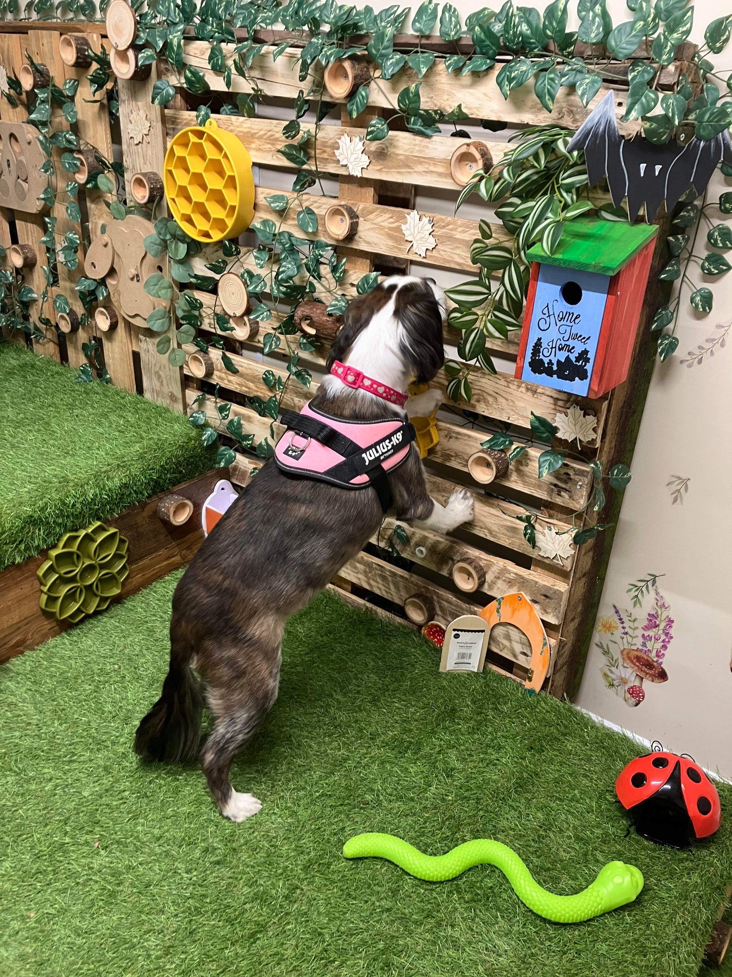 Woodland Enrichment Room