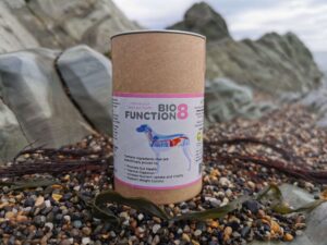 BioFunction8 | Natural relief from chronic gut issues
