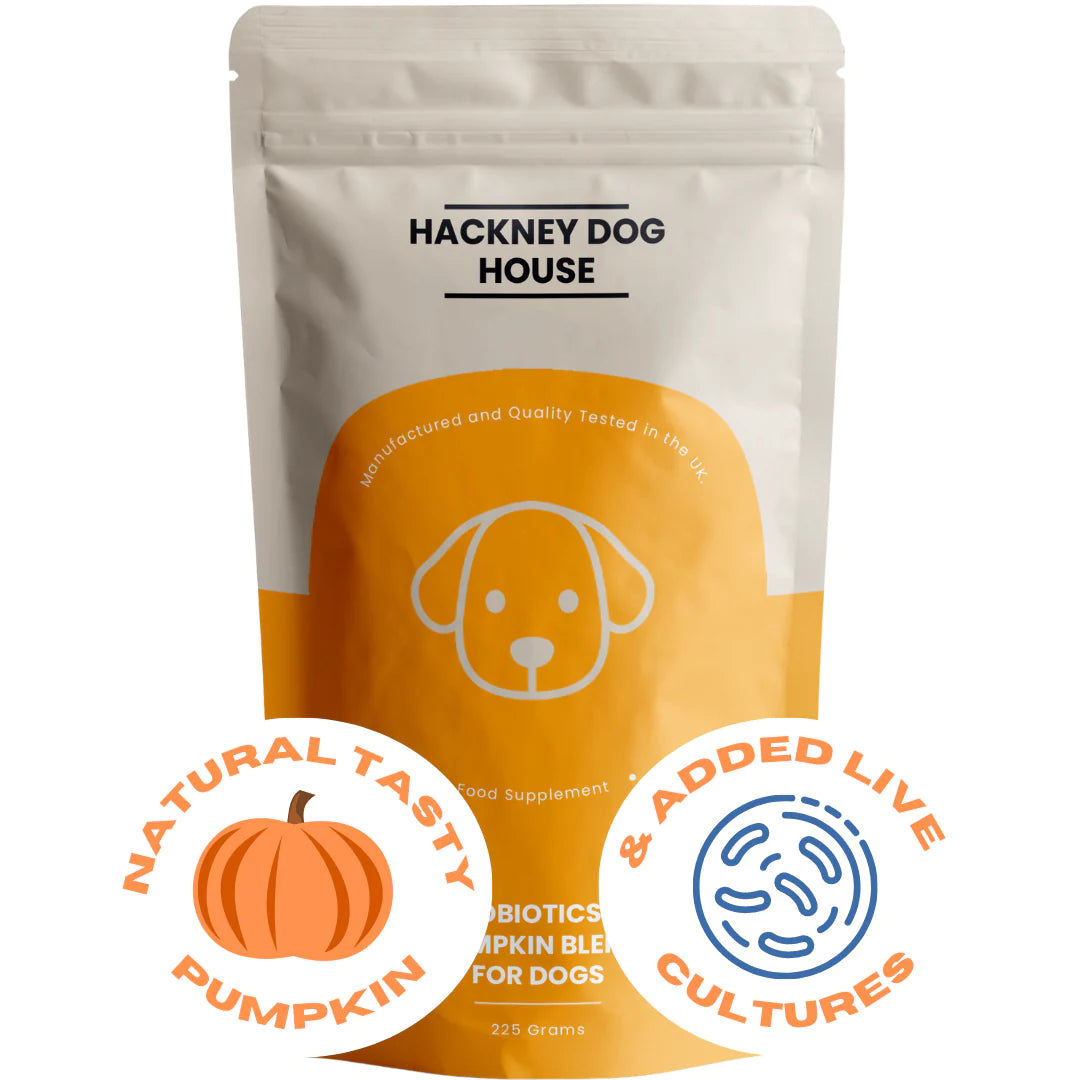 Hackney Dog House Real Pumpkin Powder and Probiotic Blend 225g (45 servings)