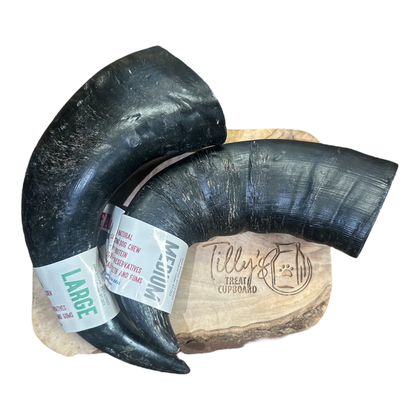 tillys buffalo horns