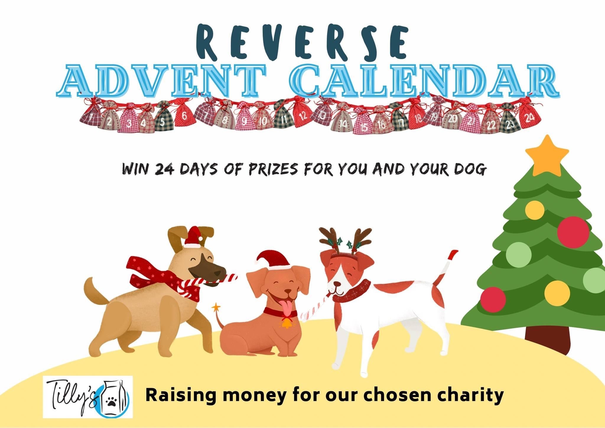 Reverse Advent Calendar Charity Raffle