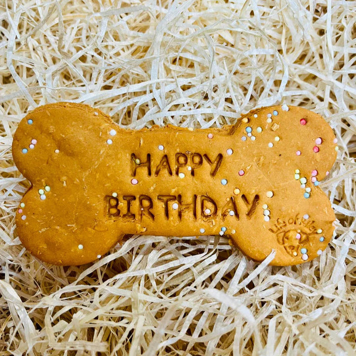 Tillys life of riley birthday bone biscuit