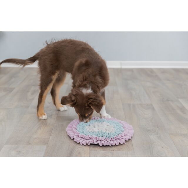 Trixie Junior Sniffing Carpet