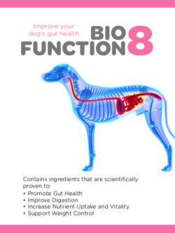 BioFunction8 | Natural relief from chronic gut issues